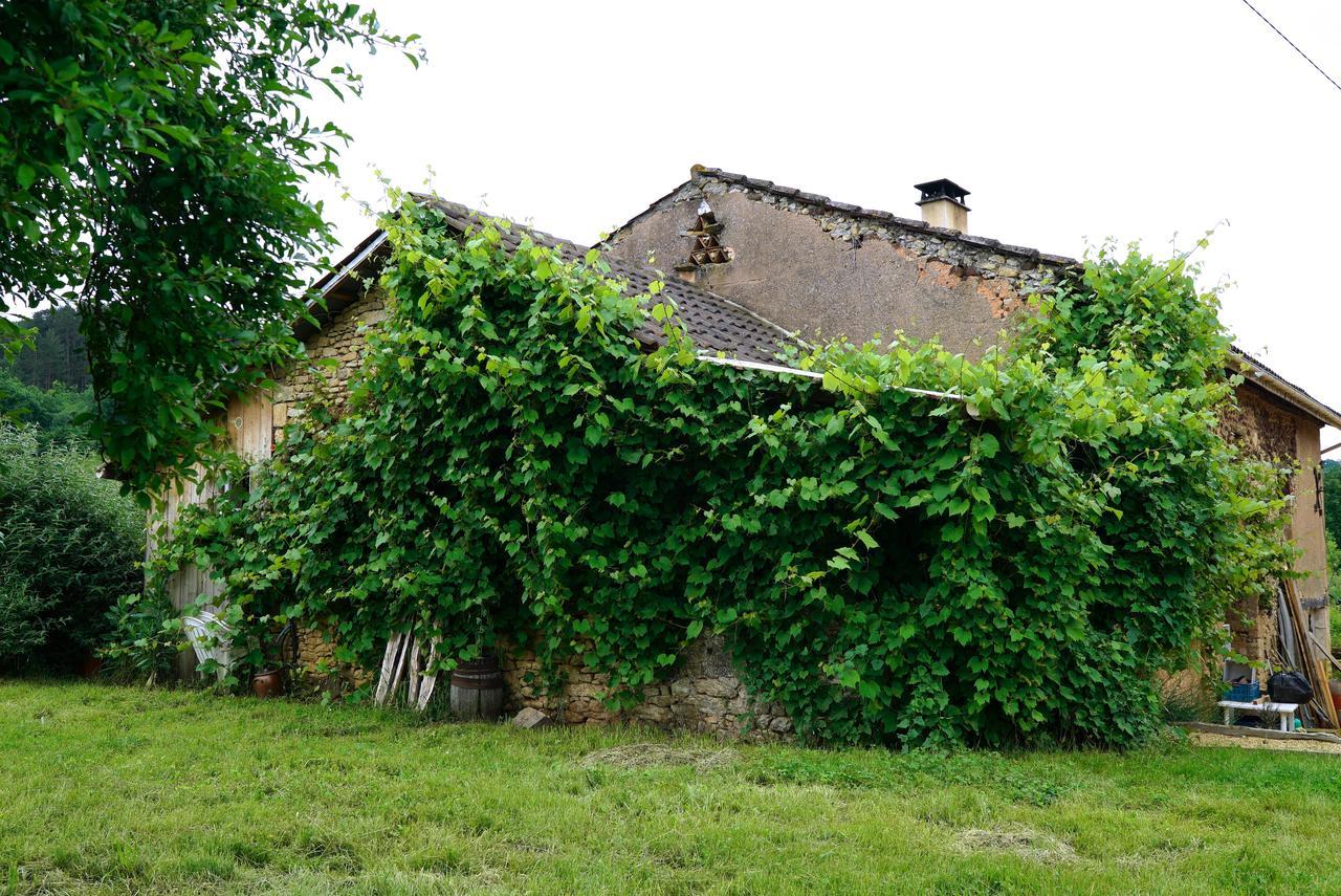 Vila La Prairie Siorac-en-Périgord Exteriér fotografie